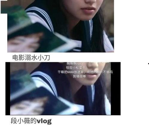 娱乐圈的吃瓜小说